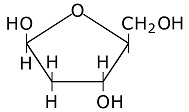 deoxiribose