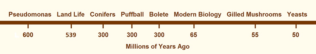 Evolution Biology