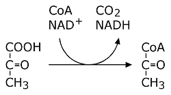 CH3-CO-COOH